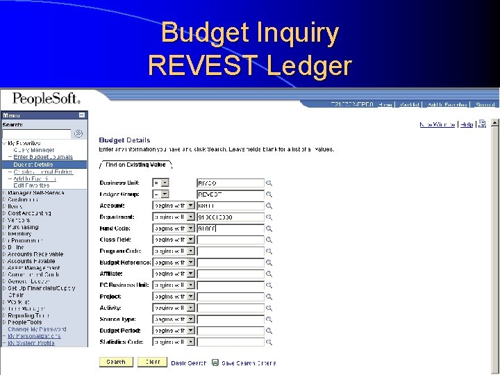 Budget Inquiry REVEST Ledger 