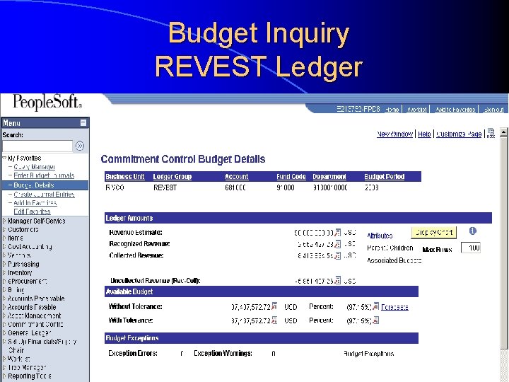 Budget Inquiry REVEST Ledger 