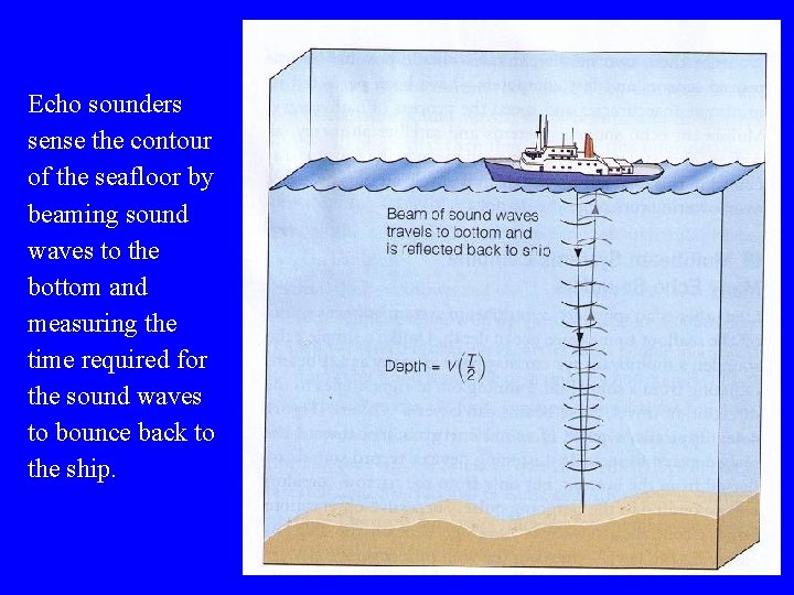 Echo sounders sense the contour of the seafloor by beaming sound waves to the