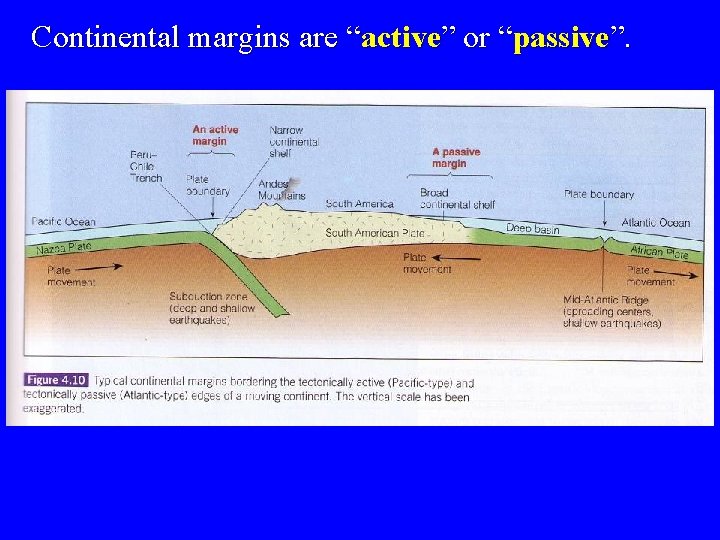 Continental margins are “active” or “passive”. Near converging plates • earthquakes • volcanic activity