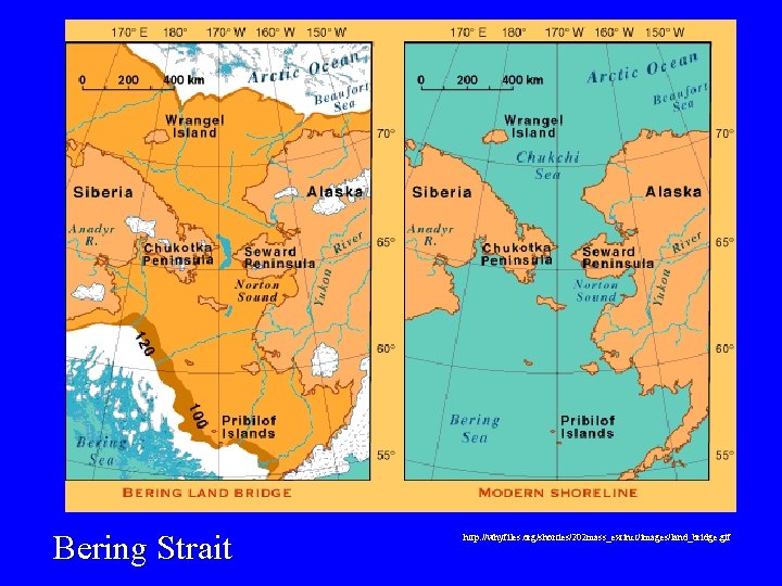 Bering Strait http: //whyfiles. org/shorties/202 mass_extinct/images/land_bridge. gif 