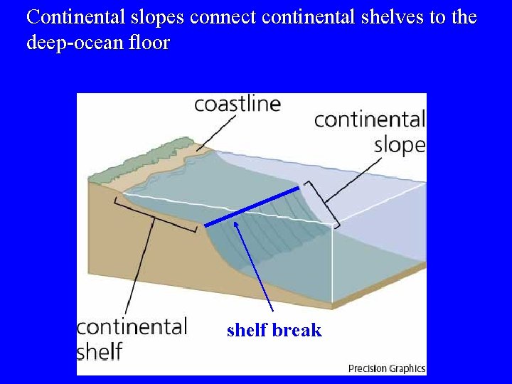 Continental slopes connect continental shelves to the deep-ocean floor shelf break 