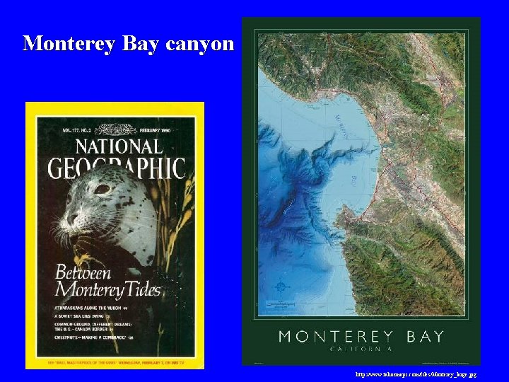 Monterey Bay canyon http: //www. tahoemaps. com/files/Monterey_large. jpg 