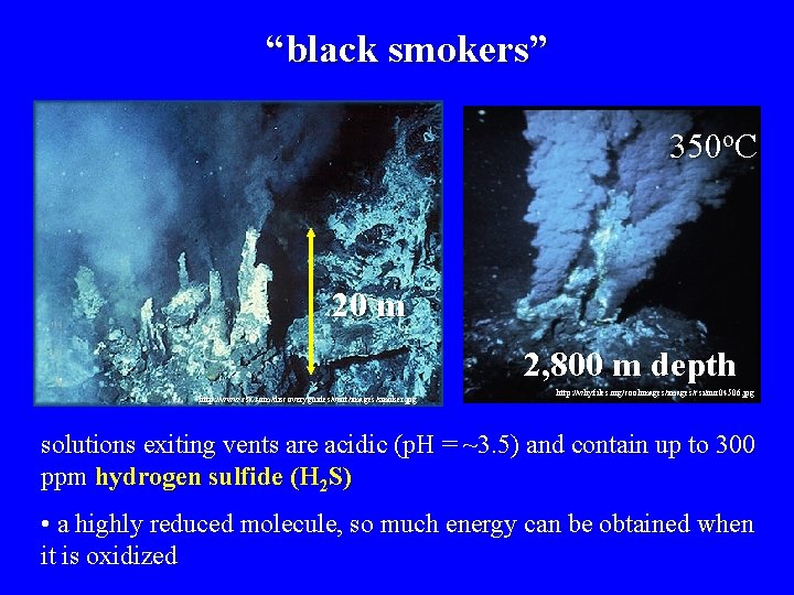 “black smokers” 350 o. C 20 m 2, 800 m depth http: //www. csa.