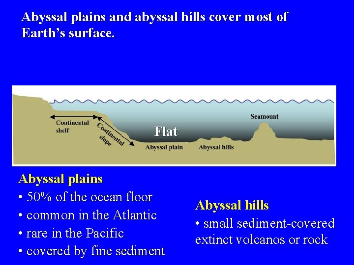 Abyssal plains and abyssal hills cover most of Earth’s surface. Flat Abyssal plains •