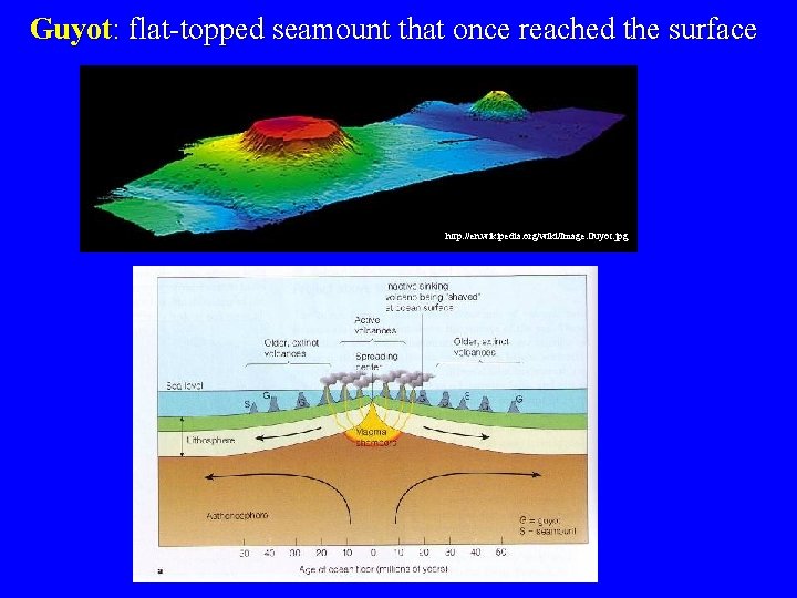 Guyot: flat-topped seamount that once reached the surface http: //en. wikipedia. org/wiki/Image: Guyot. jpg