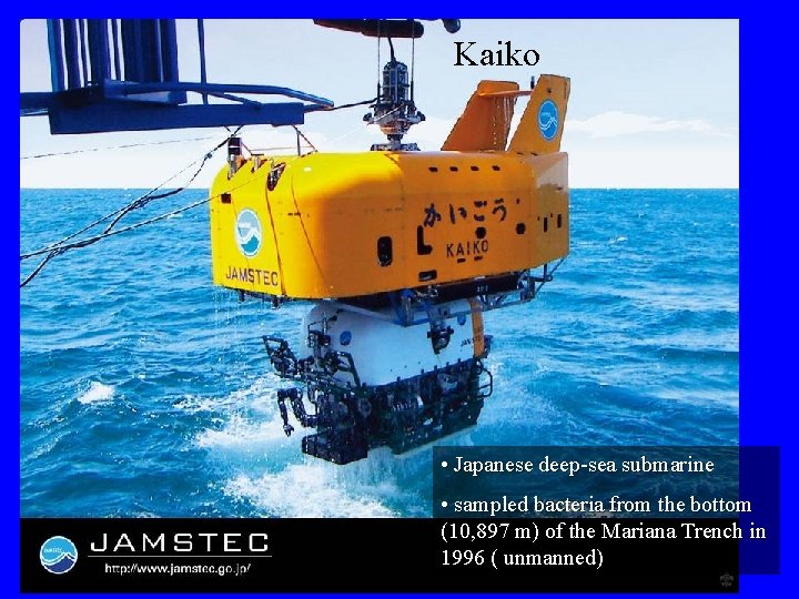 Kaiko • Japanese deep-sea submarine • sampled bacteria from the bottom (10, 897 m)