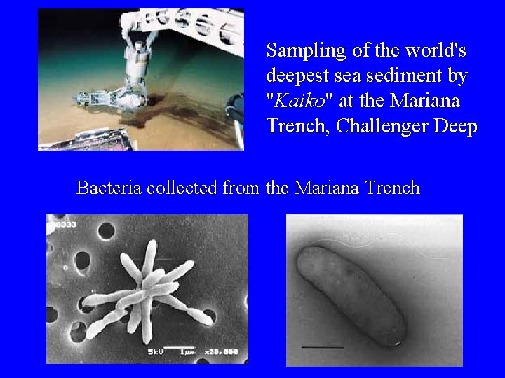 Sampling of the world's deepest sea sediment by "Kaiko" at the Mariana Trench, Challenger