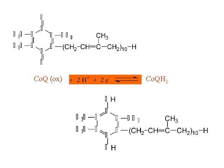 Co. Q (ox) Co. QH 2 Co. Q (ox) Co. QH 2