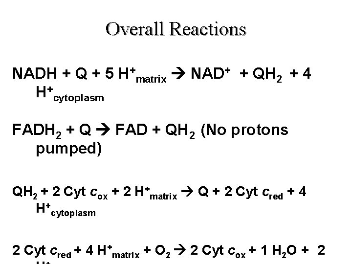 Overall Reactions NADH + Q + 5 H+matrix NAD+ + QH 2 + 4 Overall Reactions NADH + Q + 5 H+matrix NAD+ + QH 2 + 4