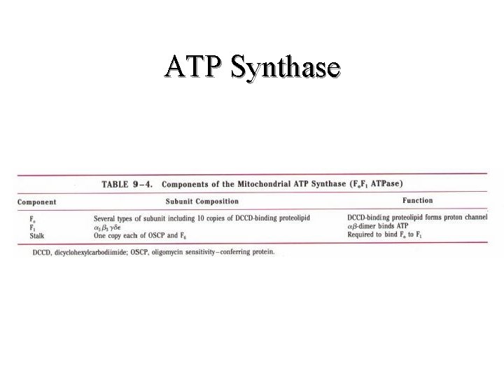 ATP Synthase ATP Synthase