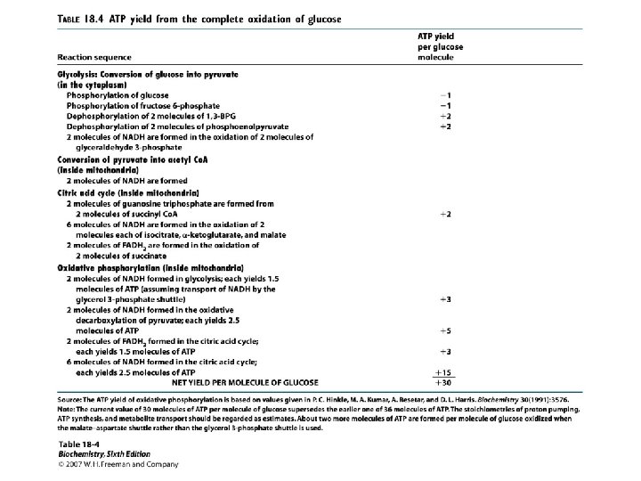 ATP Yield ATP Yield
