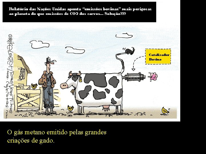 O gás metano emitido pelas grandes criações de gado. 