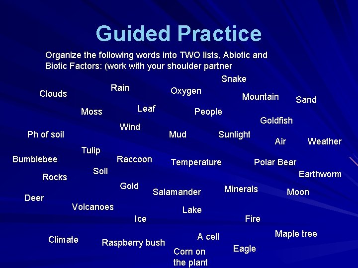 Guided Practice Organize the following words into TWO lists, Abiotic and Biotic Factors: (work