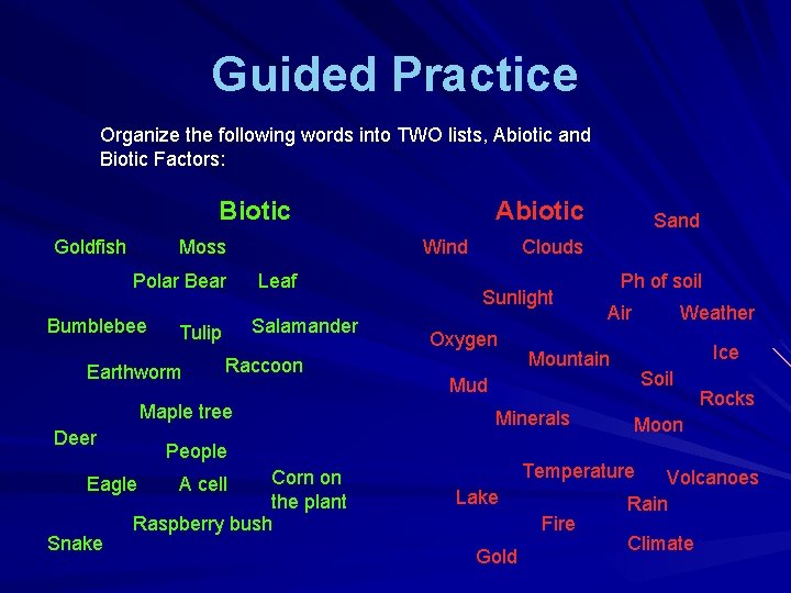 Guided Practice Organize the following words into TWO lists, Abiotic and Biotic Factors: Biotic
