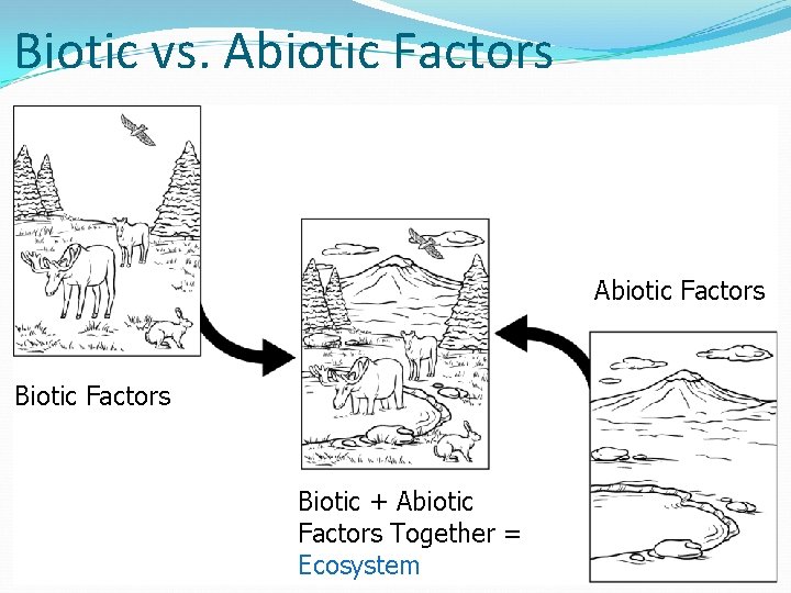 Biotic vs. Abiotic Factors Biotic + Abiotic Factors Together = Ecosystem 