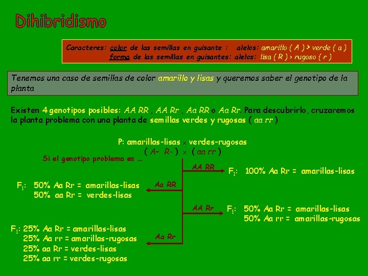 Caracteres: color de las semillas en guisante : alelos: amarillo ( A ) >