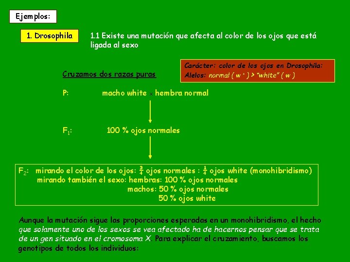 Ejemplos: 1. Drosophila 1. 1 Existe una mutación que afecta al color de los