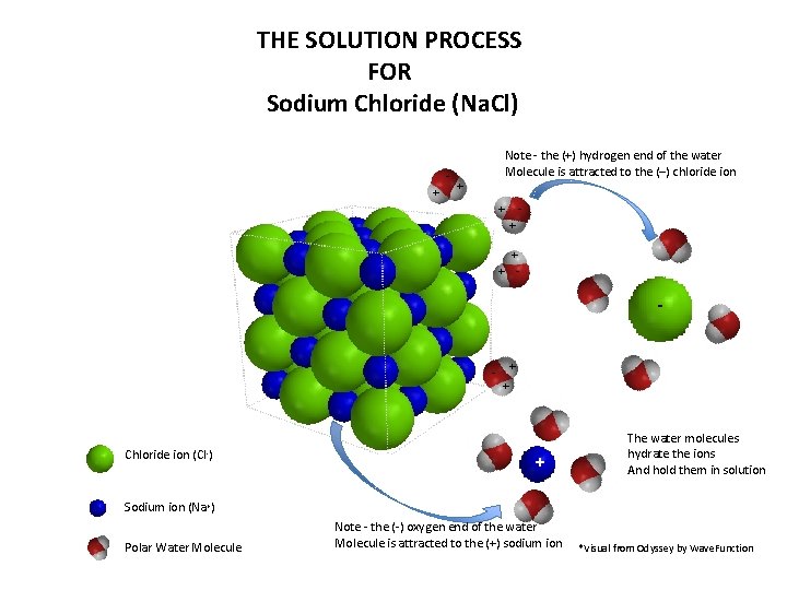 THE SOLUTION PROCESS FOR Sodium Chloride (Na. Cl) + + Note - the (+)