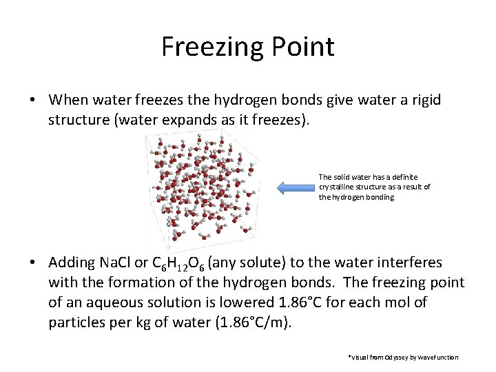 Freezing Point • When water freezes the hydrogen bonds give water a rigid structure