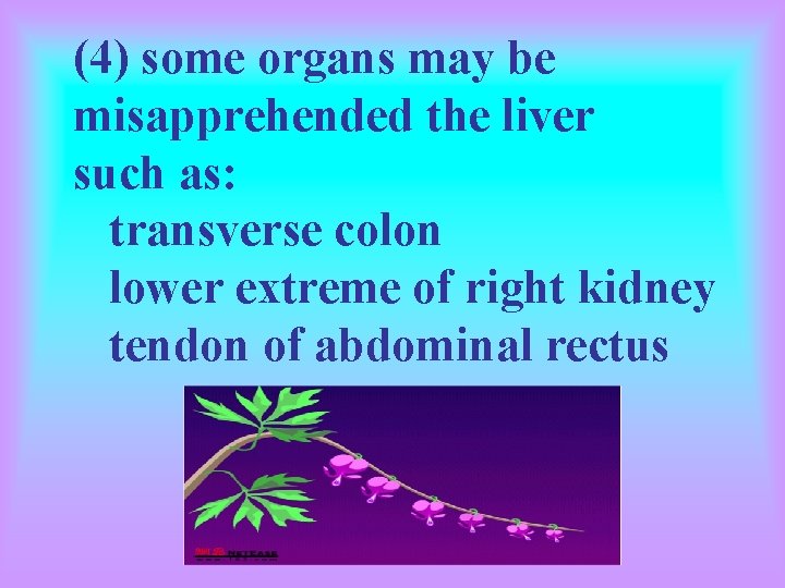 (4) some organs may be misapprehended the liver such as: transverse colon lower extreme