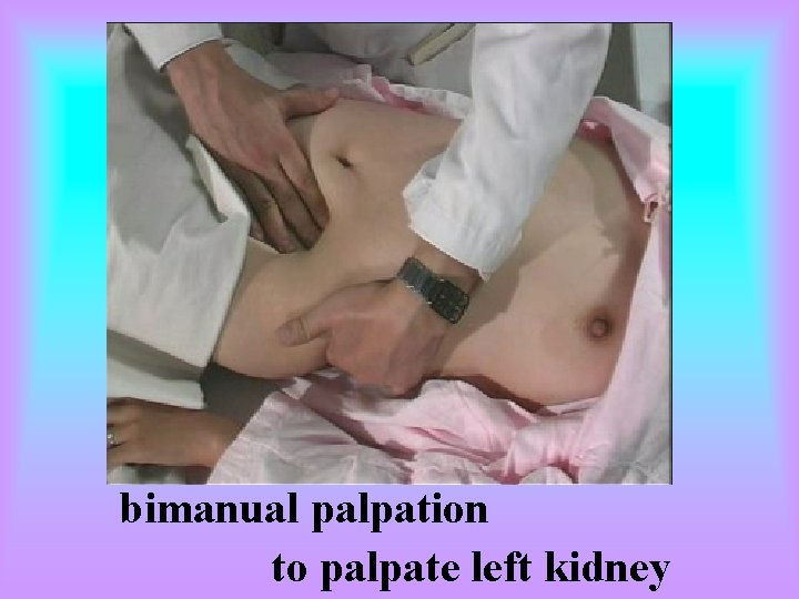 bimanual palpation to palpate left kidney 