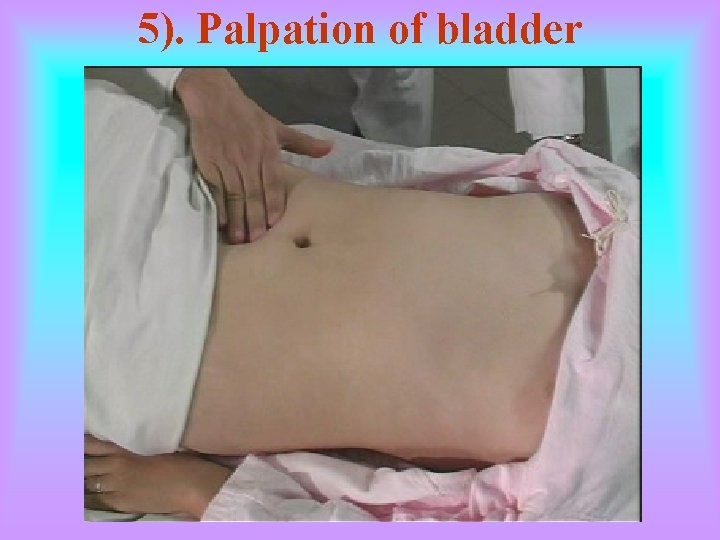 5). Palpation of bladder 