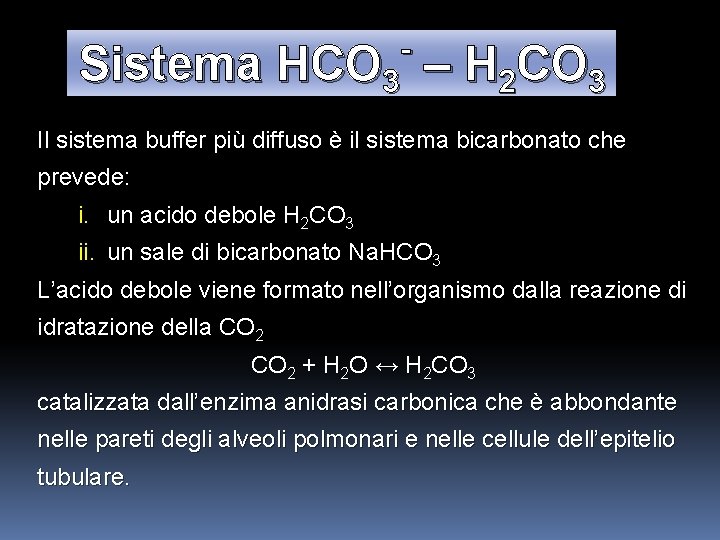 Sistema HCO 3 – H 2 CO 3 Il sistema buffer più diffuso è