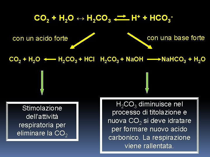CO 2 + H 2 O ↔ H 2 CO 3 H+ + HCO
