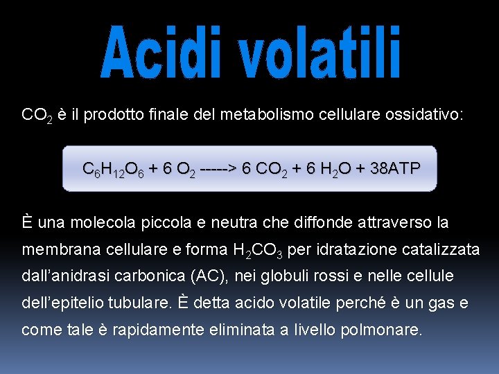 CO 2 è il prodotto finale del metabolismo cellulare ossidativo: C 6 H 12