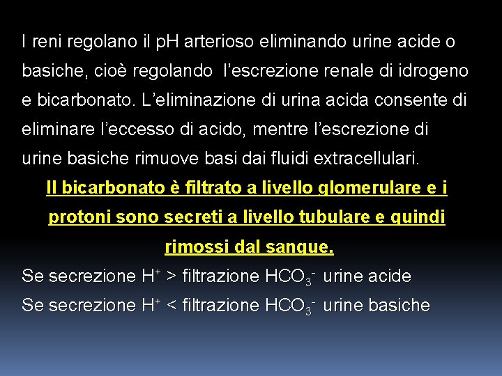 I reni regolano il p. H arterioso eliminando urine acide o basiche, cioè regolando