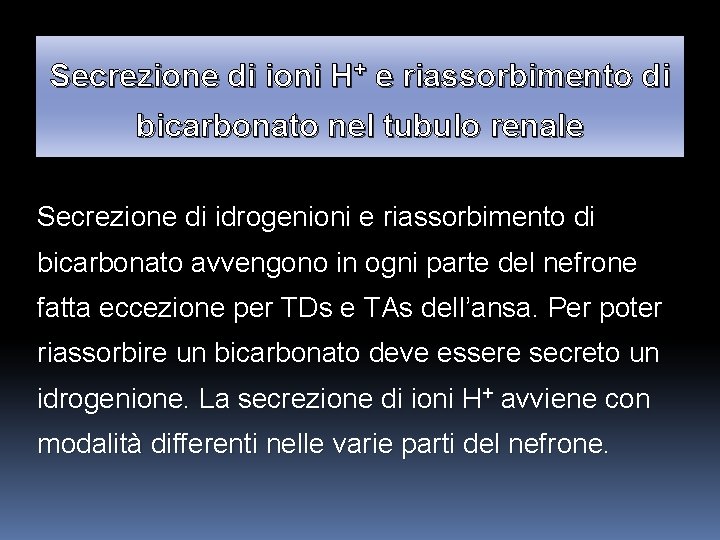 Secrezione di ioni H+ e riassorbimento di bicarbonato nel tubulo renale Secrezione di idrogenioni