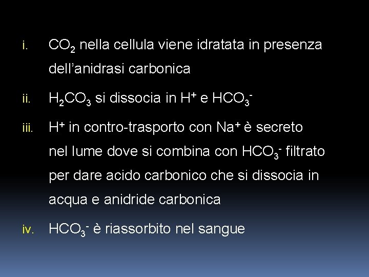i. CO 2 nella cellula viene idratata in presenza dell’anidrasi carbonica ii. H 2