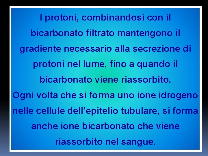 I protoni, combinandosi con il bicarbonato filtrato mantengono il gradiente necessario alla secrezione di