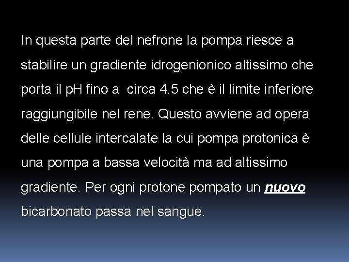 In questa parte del nefrone la pompa riesce a stabilire un gradiente idrogenionico altissimo