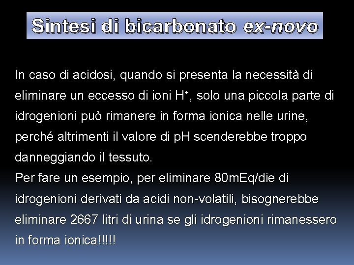 Sintesi di bicarbonato ex-novo In caso di acidosi, quando si presenta la necessità di