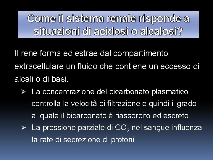 Come il sistema renale risponde a situazioni di acidosi o alcalosi? Il rene forma