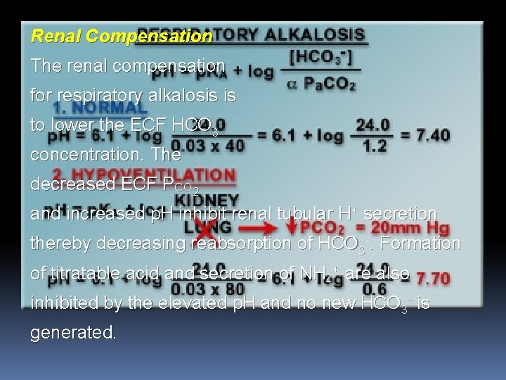 Renal Compensation The renal compensation for respiratory alkalosis is to lower the ECF HCO