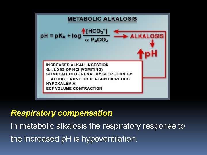 Respiratory compensation In metabolic alkalosis the respiratory response to the increased p. H is