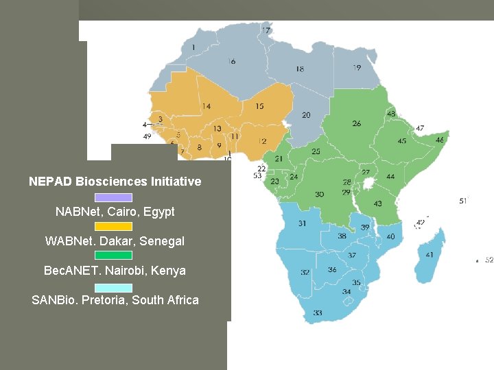 NEPAD Biosciences Initiative NABNet, Cairo, Egypt WABNet. Dakar, Senegal Bec. ANET. Nairobi, Kenya SANBio.