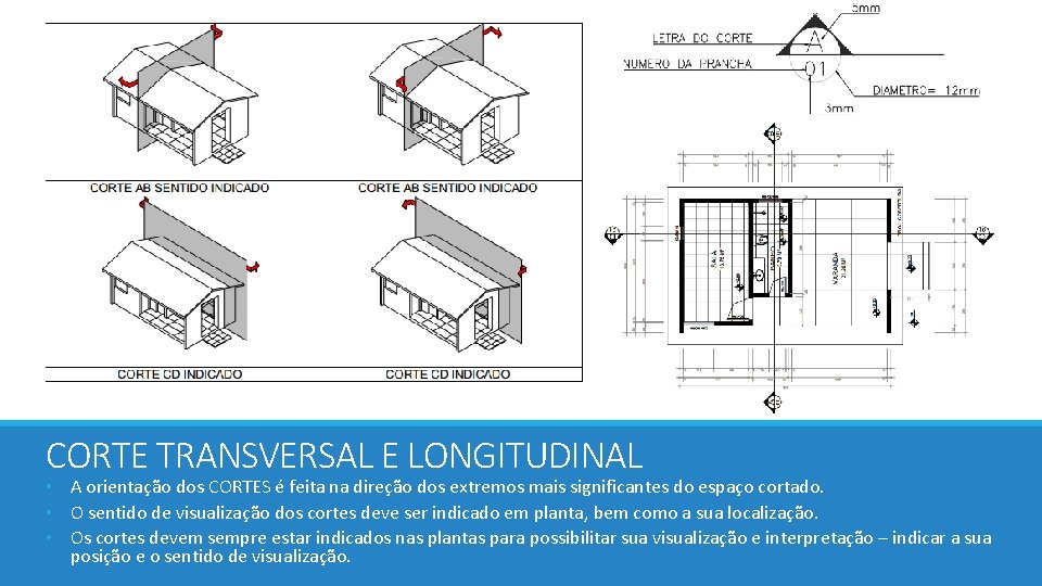 CORTE TRANSVERSAL E LONGITUDINAL • A orientação dos CORTES é feita na direção dos