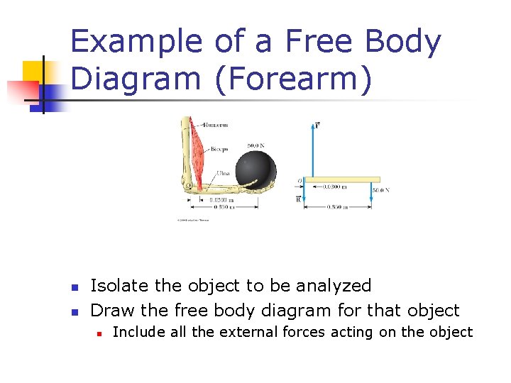 Example of a Free Body Diagram (Forearm) n n Isolate the object to be