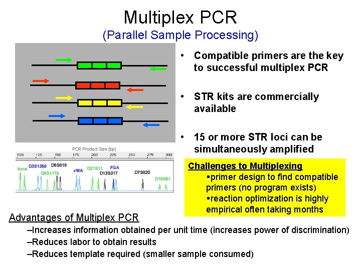 Multiplex PCR (Parallel Sample Processing) • Compatible primers are the key to successful multiplex