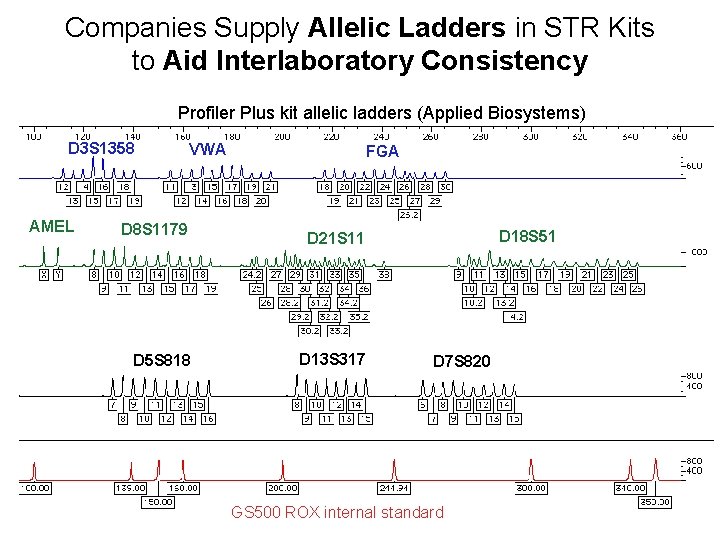 Companies Supply Allelic Ladders in STR Kits to Aid Interlaboratory Consistency Profiler Plus kit