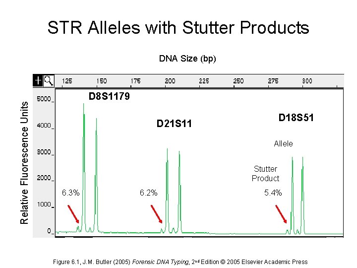 STR Alleles with Stutter Products Relative Fluorescence Units DNA Size (bp) D 8 S