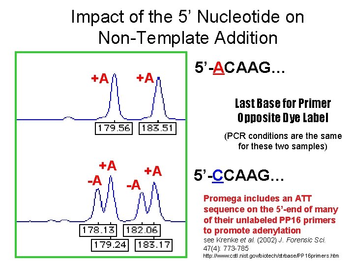 Impact of the 5’ Nucleotide on Non-Template Addition +A +A 5’-ACAAG… Last Base for