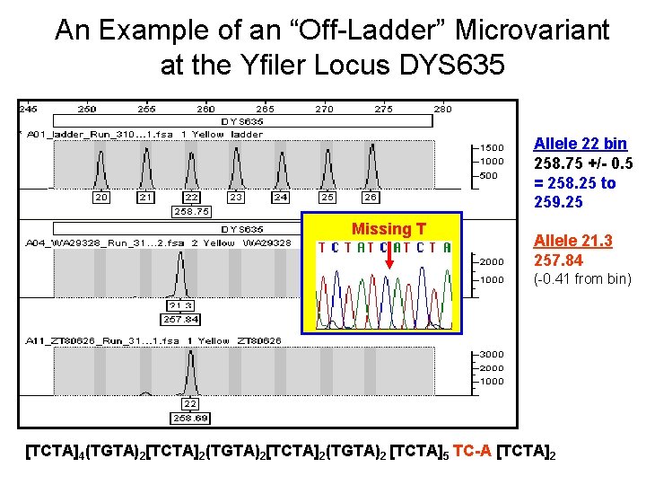 An Example of an “Off-Ladder” Microvariant at the Yfiler Locus DYS 635 Allele 22