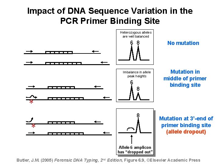 Impact of DNA Sequence Variation in the PCR Primer Binding Site Heterozygous alleles are