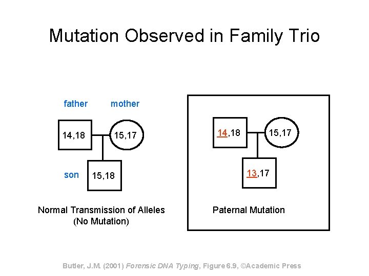 Mutation Observed in Family Trio father mother 14, 18 15, 17 son 15, 18