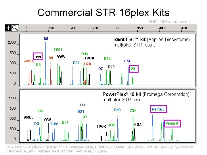 Commercial STR 16 plex Kits SRM 2391 b component 1 D 8 Identifiler™ kit